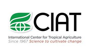 donor-ciat