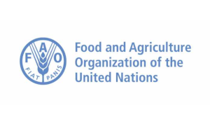 Food and Agricultural Organization of the United Nations (FAO)
