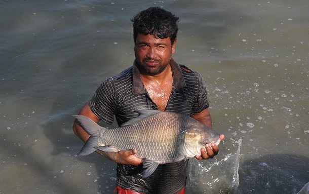 bangladesh_fish_copy