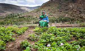 Crafting the Next Generation of CGIAR Gender Research