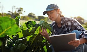 Virtual Event - The European Green Deal: The Force of the EU's Farm to Fork Strategy and Biodiversity Strategy to Build Healthy and Sustainable Food Systems
