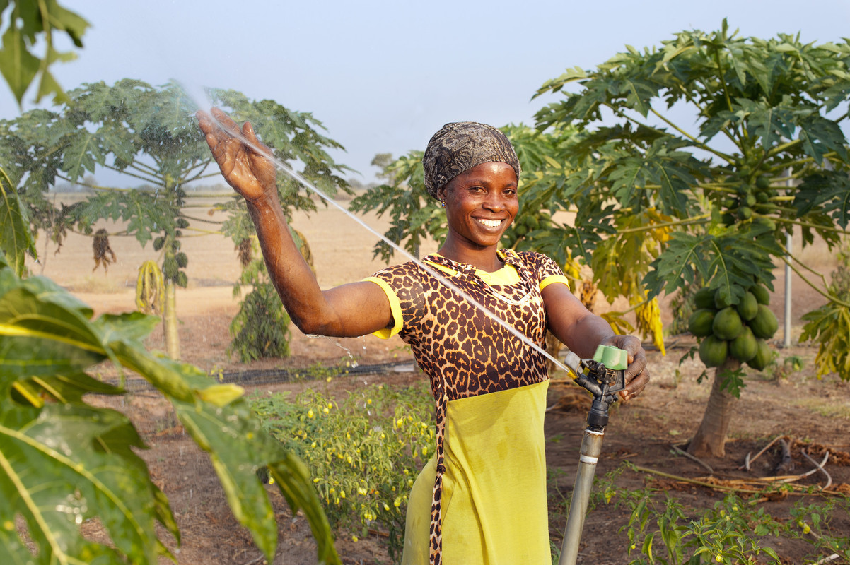 a-farmer-using-sprinkler-irrigation-in-nothern-region-in-yagaba-ghana