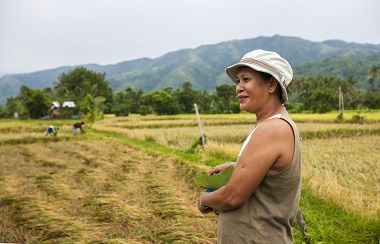 Addressing the impacts of climate change in the Philippine agriculture sector