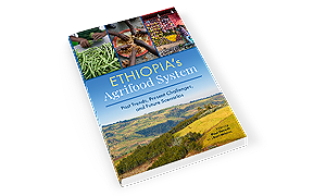 Virtual Event - Ethiopia’s agri-food system: Past trends, present challenges, and future scenarios