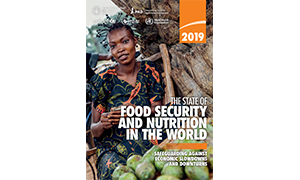 Discussion on the Key Findings of FAO’s 2019 State of Food Security and Nutrition in the World Report