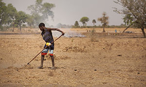Developing Resilience to Climate Change and Achieving Food Security in West Africa: Follow up Action from the UN Food Systems Summit