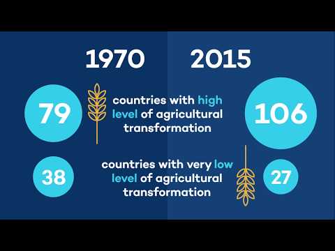 Agricultural Transformation and Policy: What are the policy priorities?