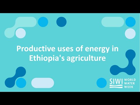 Productive uses of energy for irrigated agriculture in Ethiopia