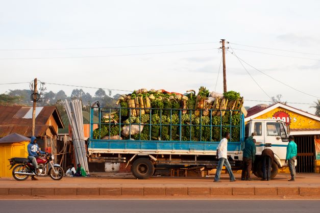 Bananas on a truck in Uganda