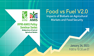 Food vs Fuel V2.0: Impacts of Biofuels on Agricultural Markets and Food Security
