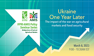 Ukraine One Year Later: the impact of the war on agricultural markets and food security