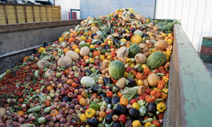 Food Loss and Waste in Fruit and Vegetable Supply Chains