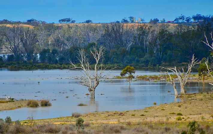 Australia's Murray-Darling Basin shows why the ‘social cost of water’ concept won’t work