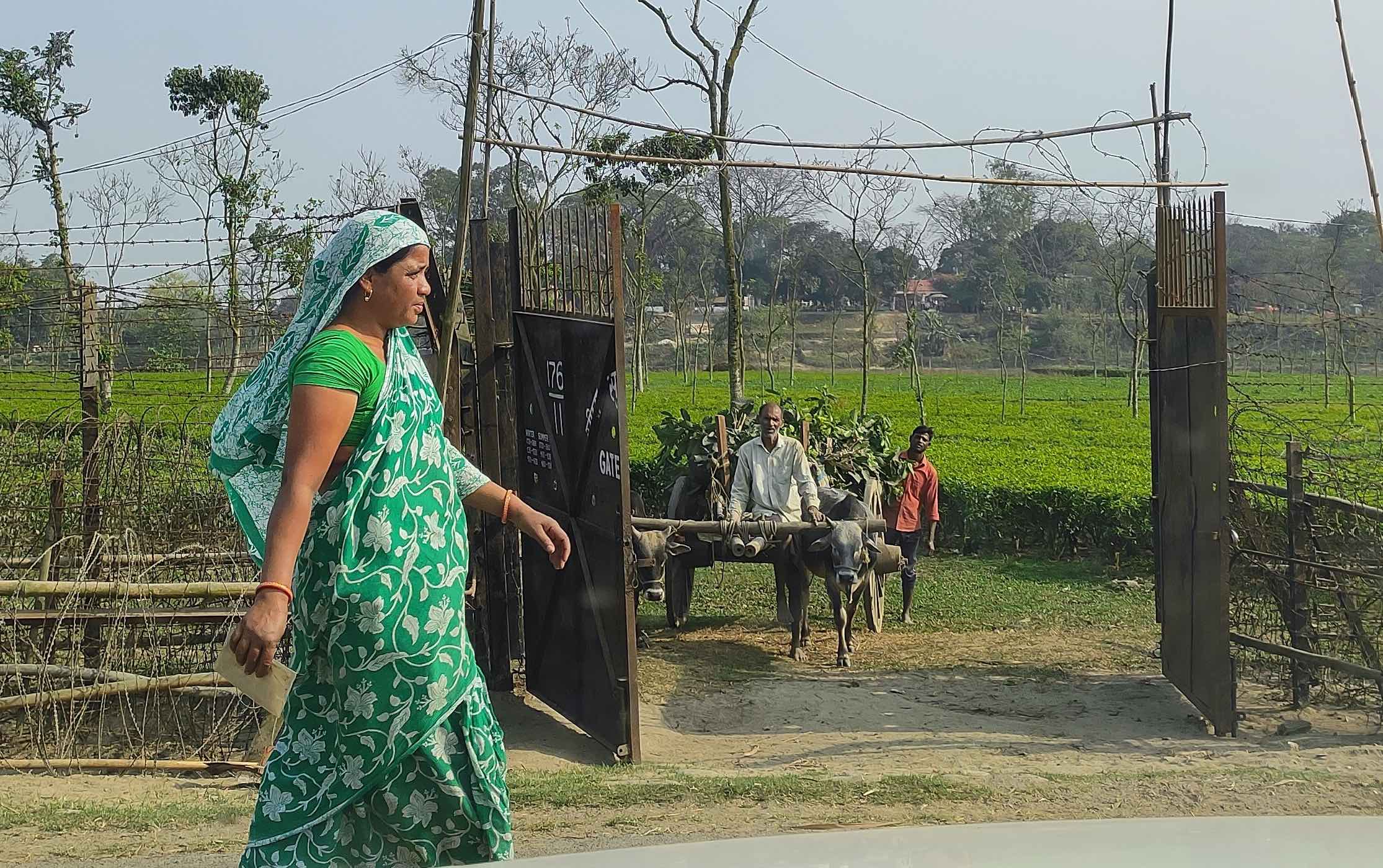 Informal trade: Insights from Phansidewa at the India-Bangladesh border