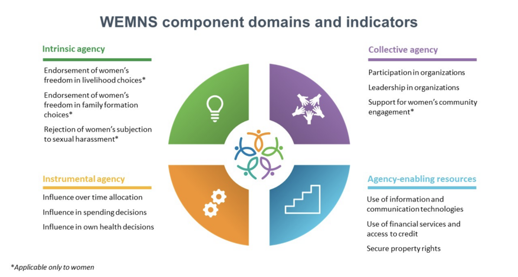 Visualization of WEMNS four component domains and indicators
