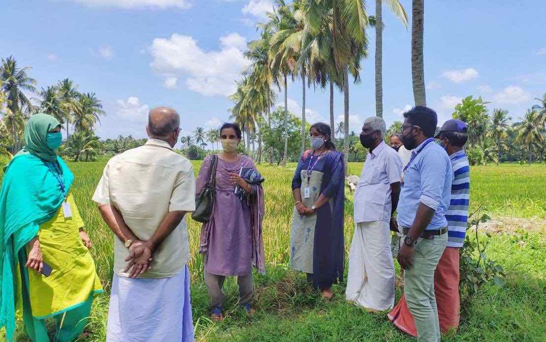 Farmers and extension agents consulting near rice paddy