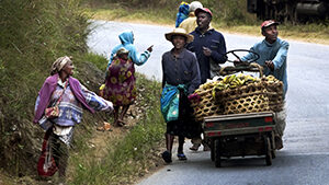 Tracking Global and National Agricultural Transformation