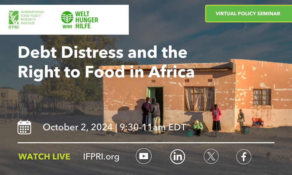 Debt Distress and the Right to Food in Africa