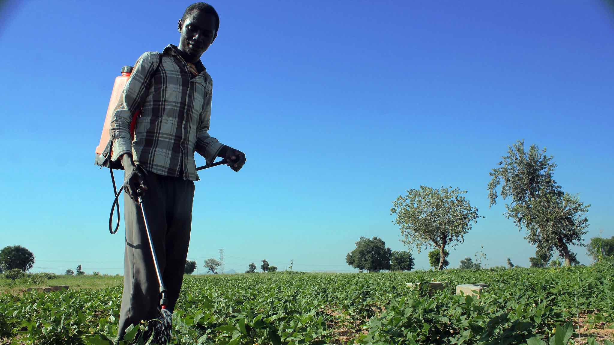 Man standing in bean field holding sprayer with plastic tank on his back.