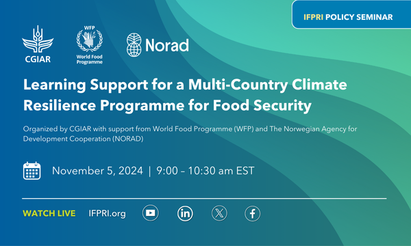 Learning Support for a Multi-Country Climate Resilience Programme for Food Security