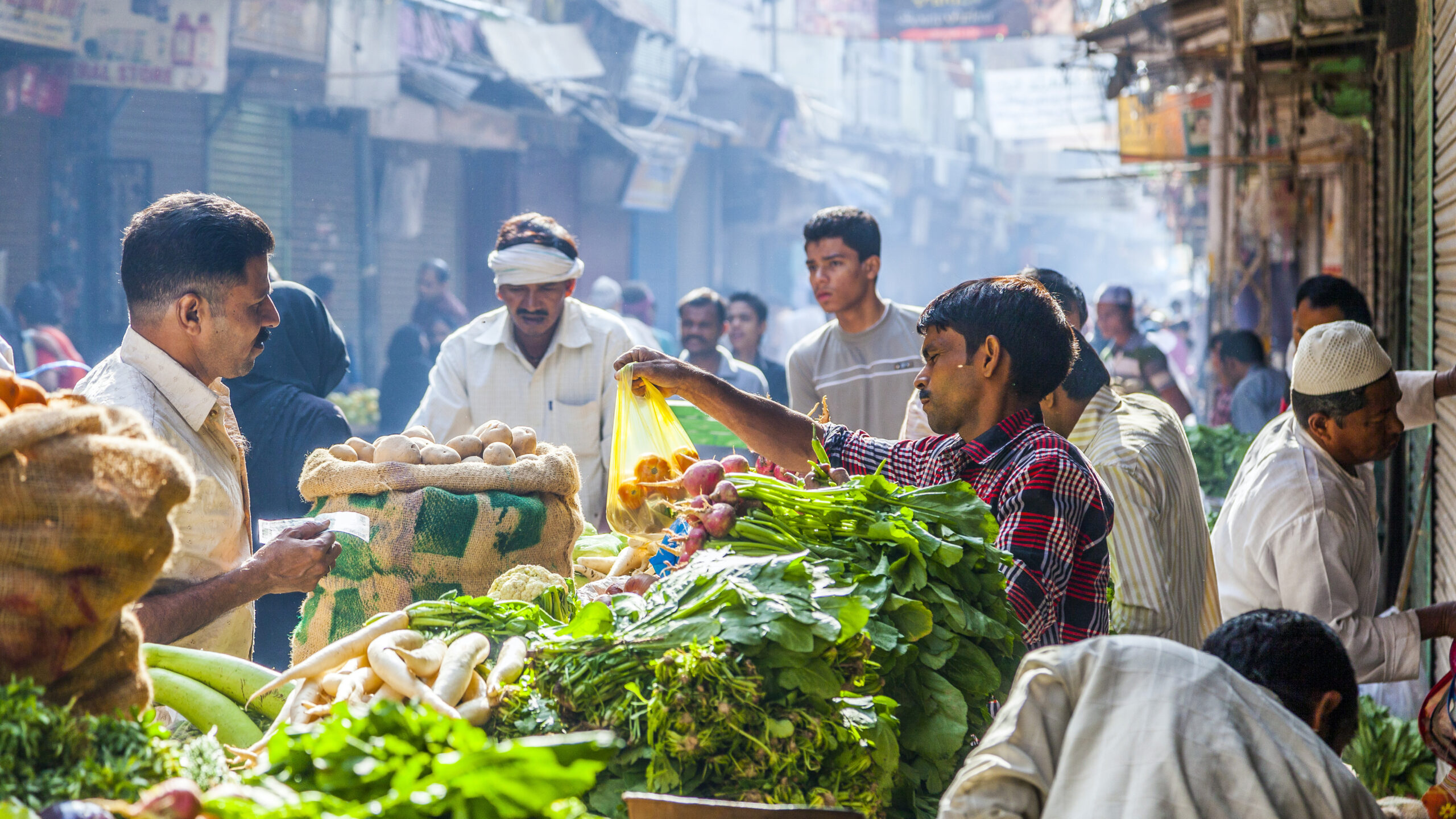 World Cities Day 2024: Building more inclusive, sustainable, and resilient urban food systems