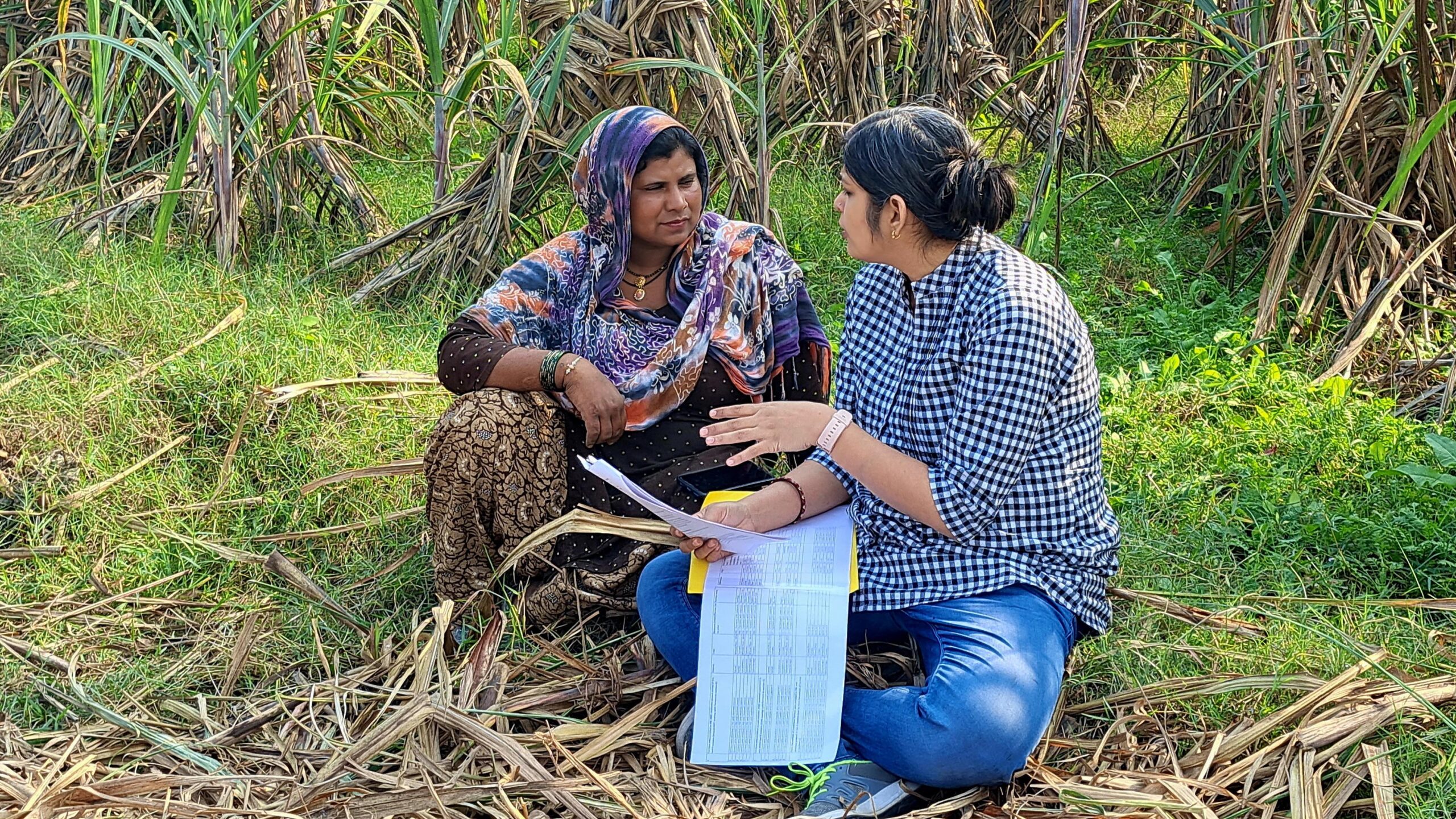 How men and women cope with weather-related agricultural production risk: A case study of cereal and tomato farmers in Haryana, India