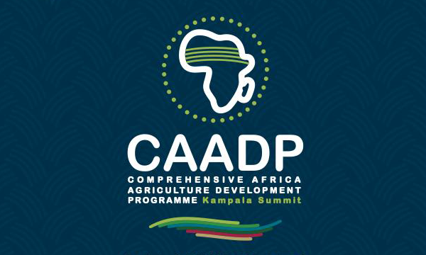 Extra-Ordinary Summit on Comprehensive Africa Agriculture Development Programmes (CAADP)