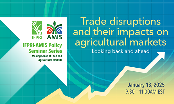 Trade disruptions and their impacts on agricultural markets: Looking back and ahead