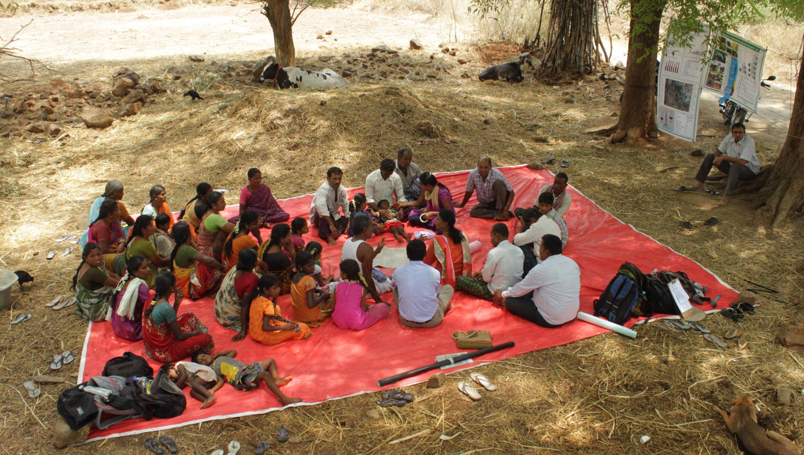 Group of men and women on a blanket on the ground, left; man sitting with posters strung between two trees upper right