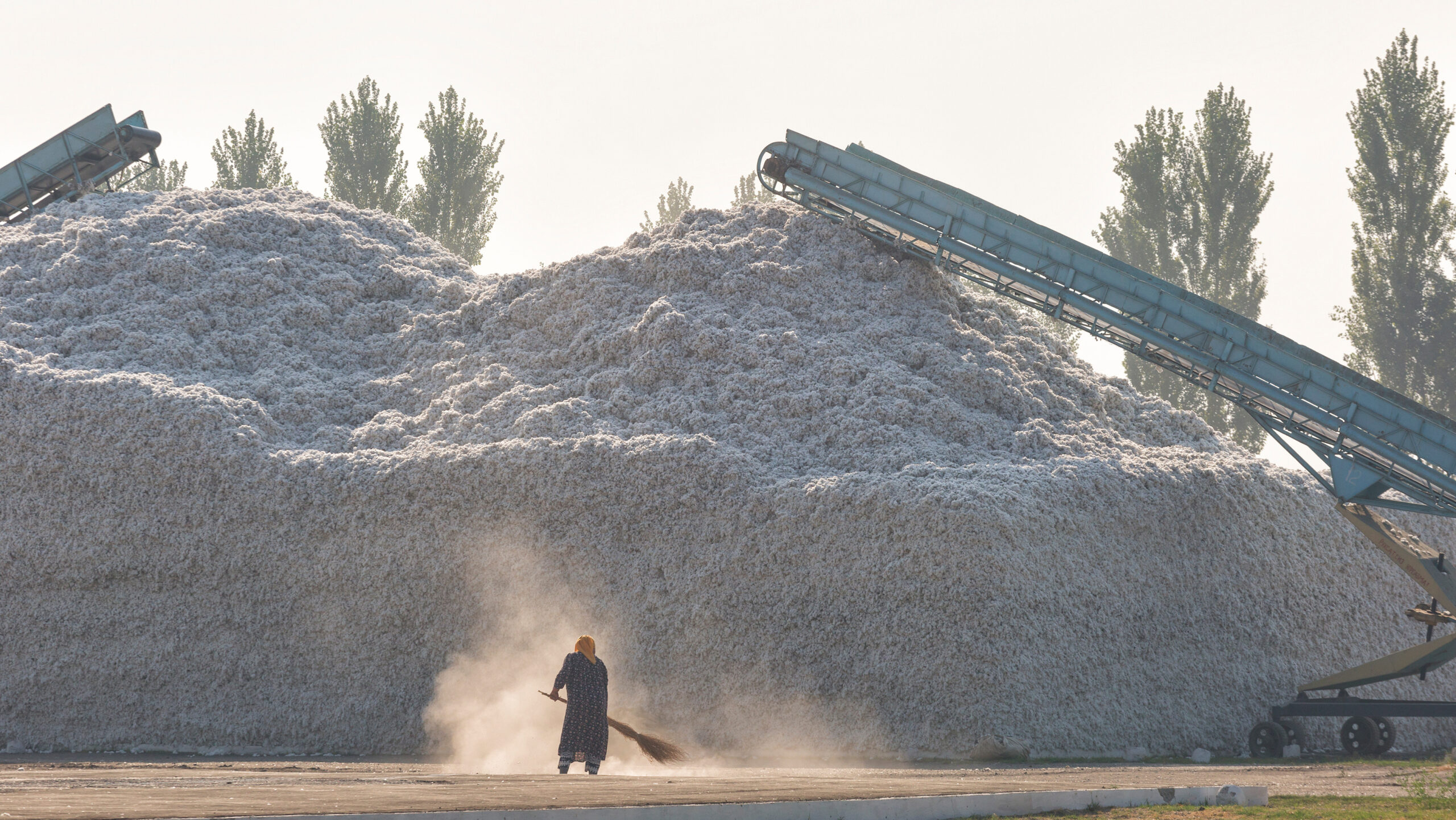 Small figure sweeps in front of enormous pile of cotton, trees in background