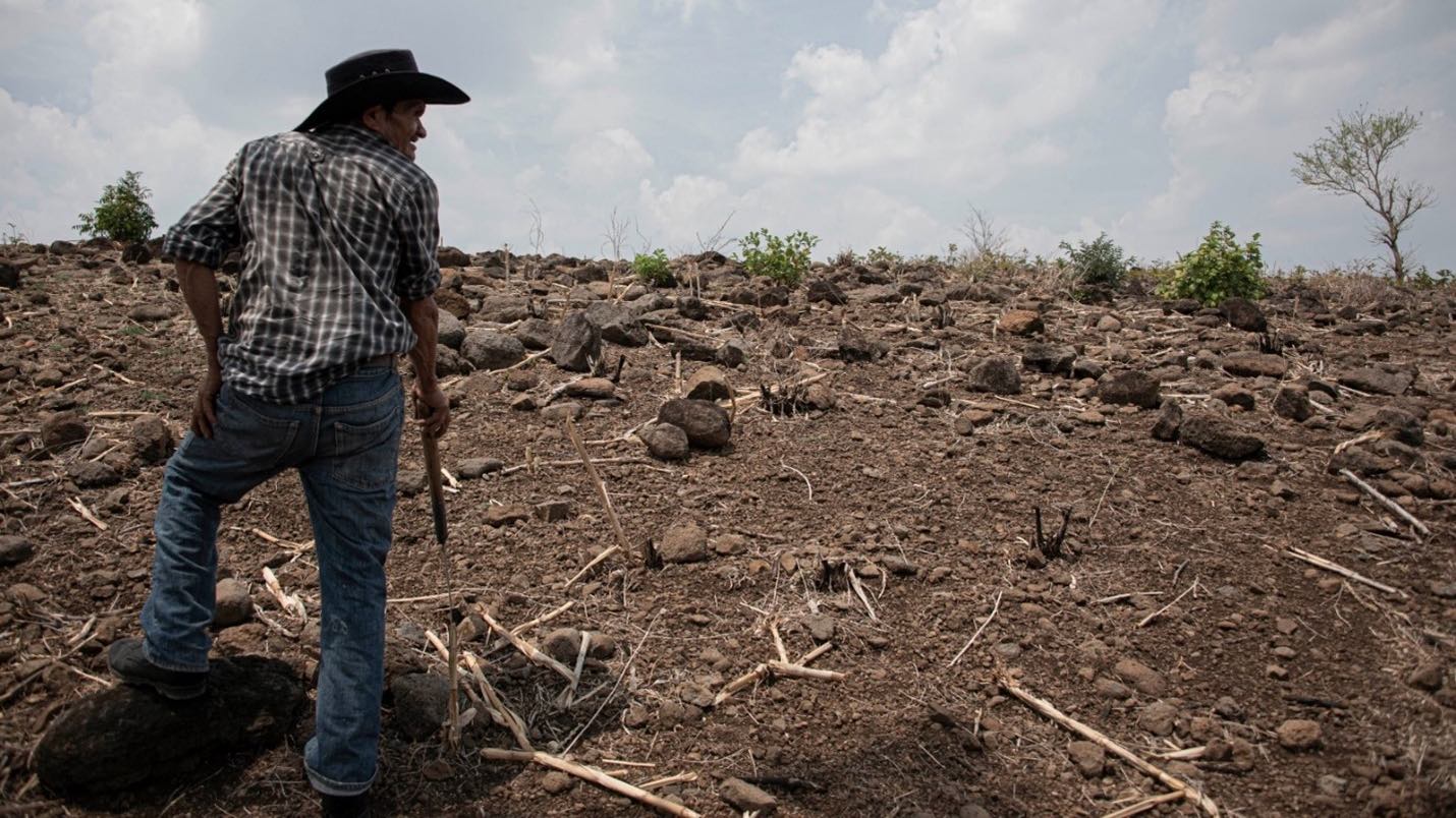 Man, left, back to camera, standing on plowed hill, looking to right